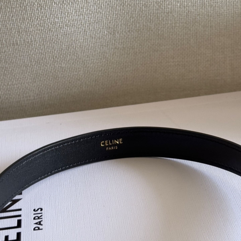 Ce1i*e triomphe bags